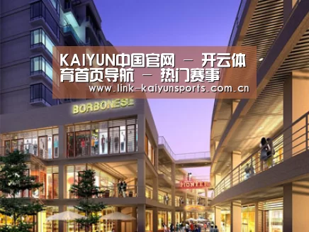 案例展示一(图1)
