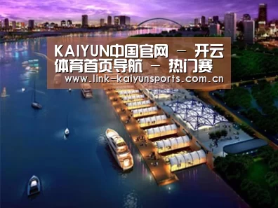 案例展示八