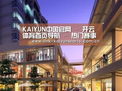 案例展示一