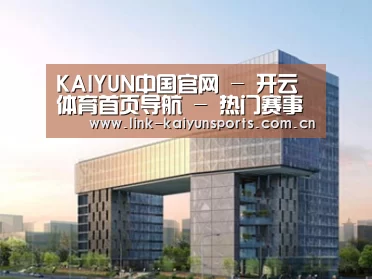 案例展示四