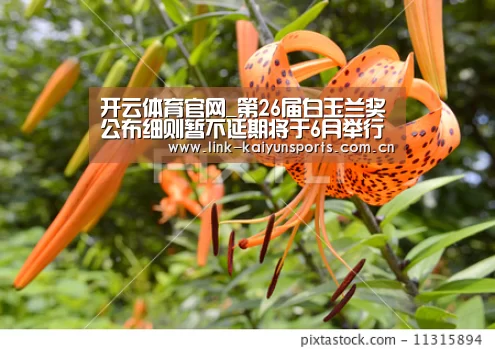 KAIYUN体育