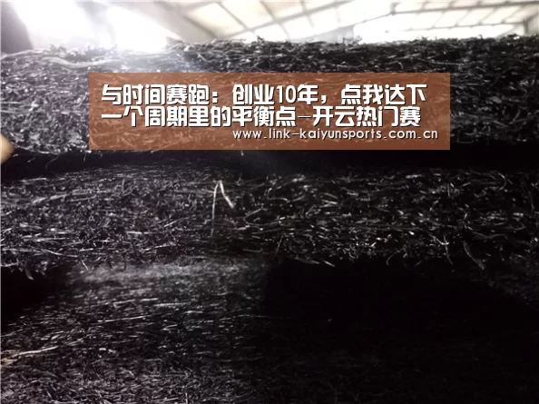开云官方网站