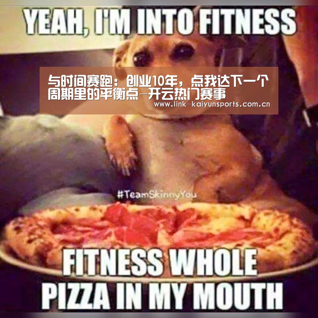 开云官方网站