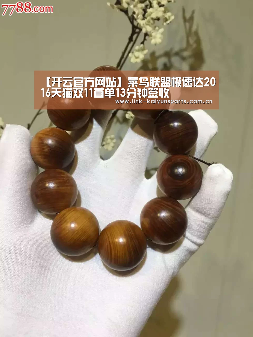 【开云官方网站】菜鸟联盟极速达2016天猫双11首单13分钟签收(图2) 开云体育官网