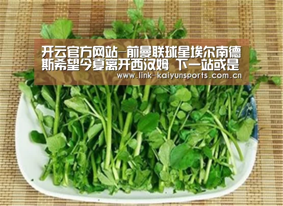 开云官方网站
