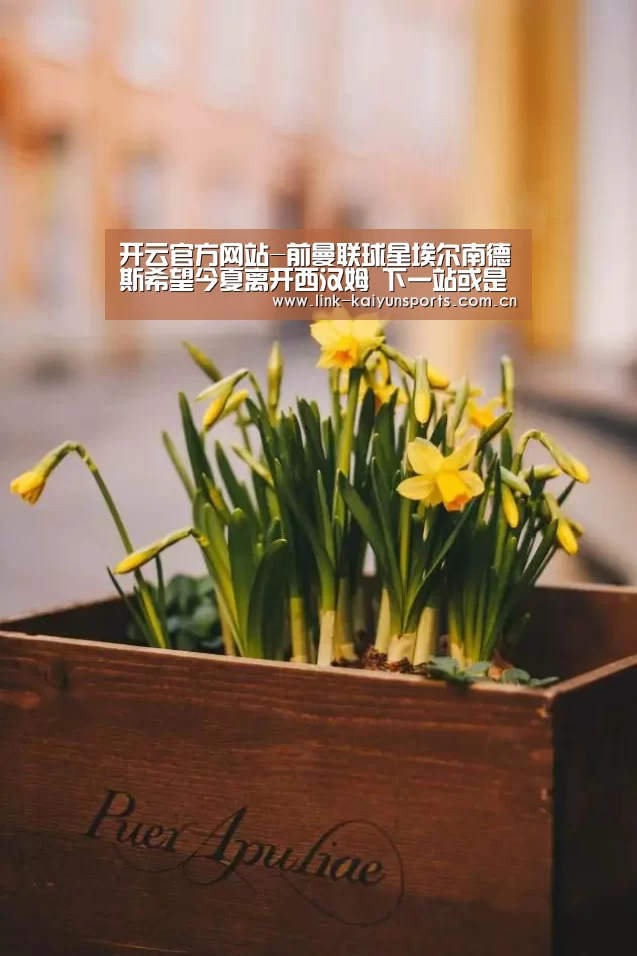开云体育官网
