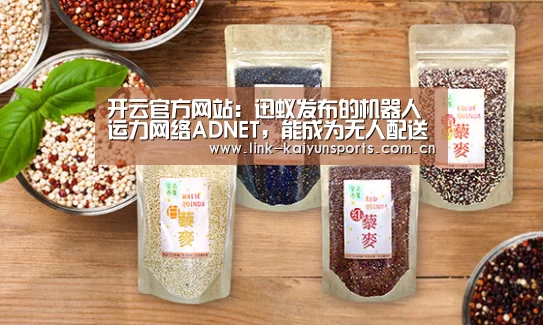 开云官方网站:迅蚁发布的机器人运力网络ADNET,能成为无人配送的终极解决方案吗?...(图1) KAIYUN体育