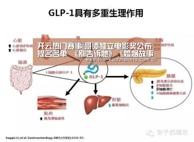 开云体育官网