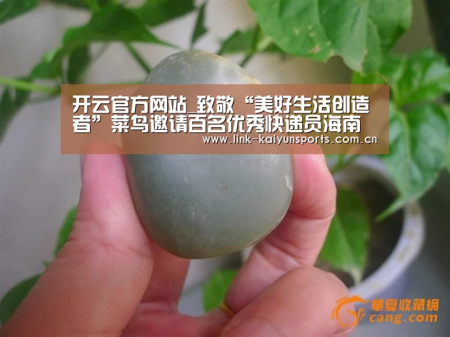 开云体育官网