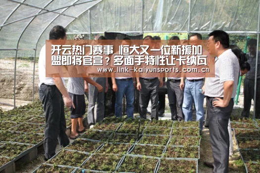 开云官方服务