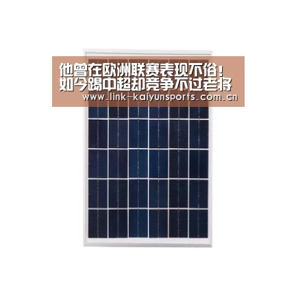 开云官方网站