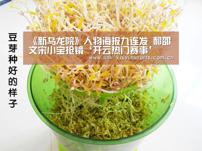 《新乌龙院》人物海报九连发 郝邵文宋小宝抢镜‘开云热门赛事’(图2) 开云热门赛事