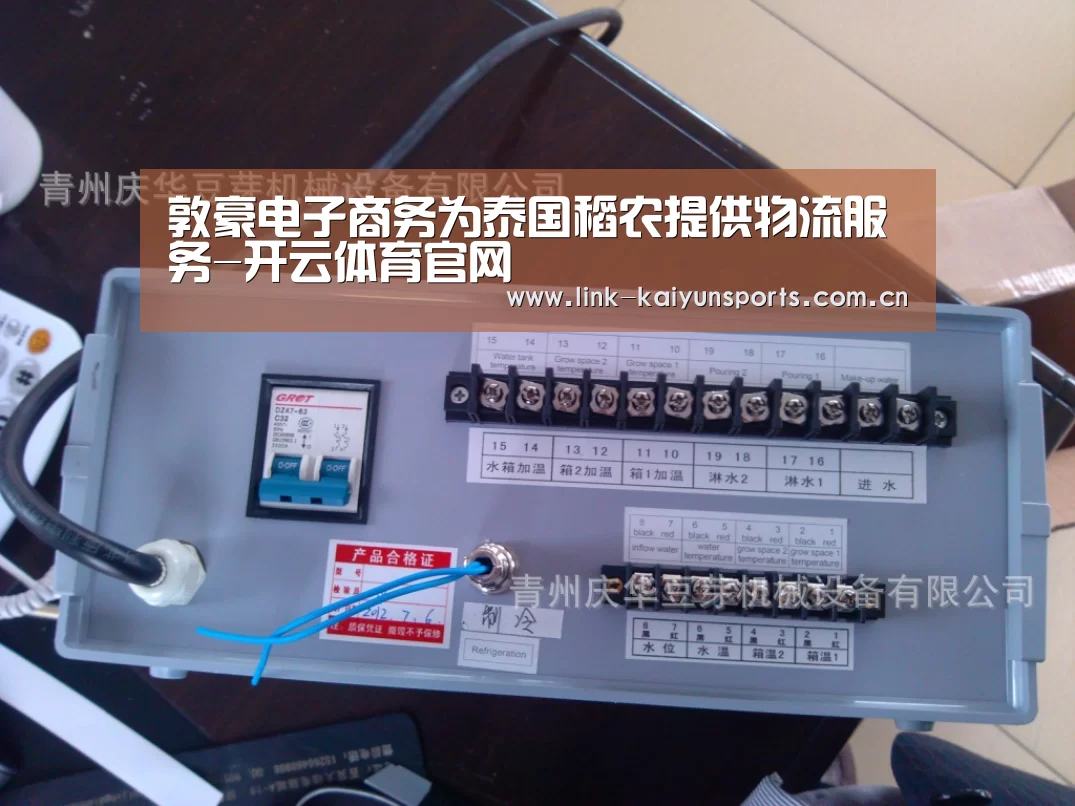 敦豪电子商务为泰国稻农提供物流服务-开云体育官网(图4) 开云官方服务