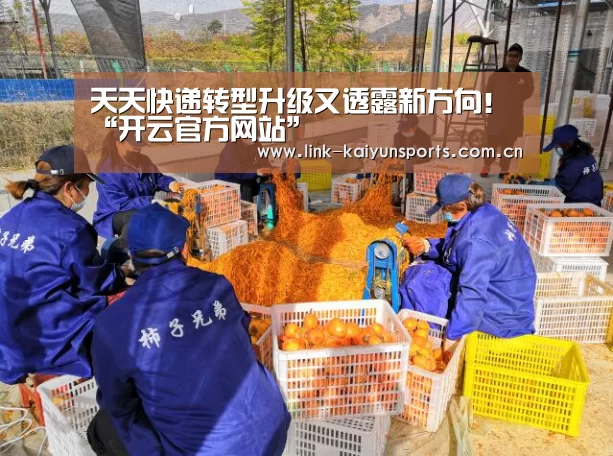 开云官方服务