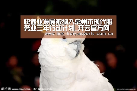快递业发展被纳入常州市现代服务业三年行动计划_开云官方网站(图1) 开云官方网站